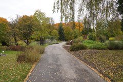Lubelski ogród botaniczny