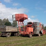 Lubelskie: Śmierć dwóch osób porażonych prądem w trakcie prac polowych