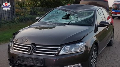 Lubelskie: Śmiertelne potrącenie 14-letniego rowerzysty