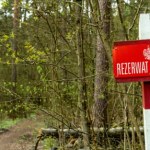 Lubelszczyzna: Powstały cztery nowe rezerwaty przyrody, gdzie je znaleźć?