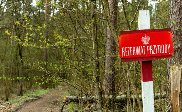 Lubelszczyzna: Powstały cztery nowe rezerwaty przyrody, gdzie je znaleźć?