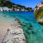 Lubiane przez Polaków morze wyrzuciło coś podobnego do liścia. Coś żywego