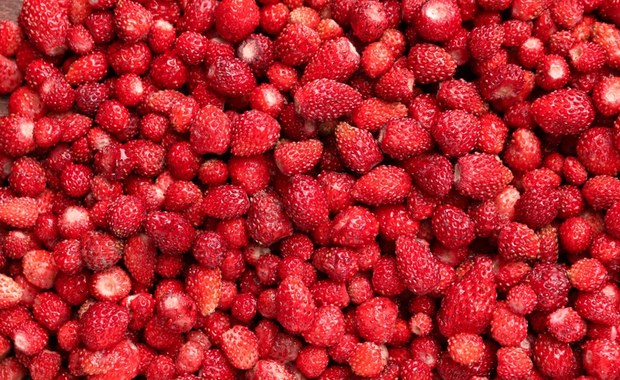 Lubisz owoce, ale unikasz cukru? Sięgaj po jagody i poziomki!