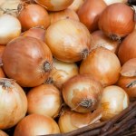 cebula właściwości zdrowotne Lubisz smak i zapach cebuli? Naukowcy zauważyli ciekawy związek ze zdrowiem