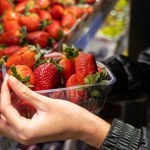 alergia Lubisz truskawki? Sprawdź, czy musisz na nie uważać