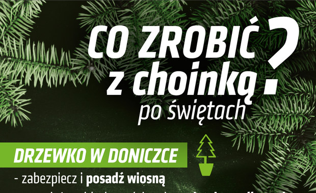 Lublin. Poświąteczna zbiórka drzewek w doniczkach 