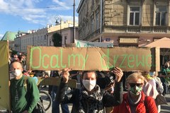 Lublin: Protest obrońców drzew