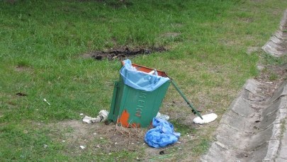 Lublin: Śnięte ryby w Zalewie Zemborzyckim 