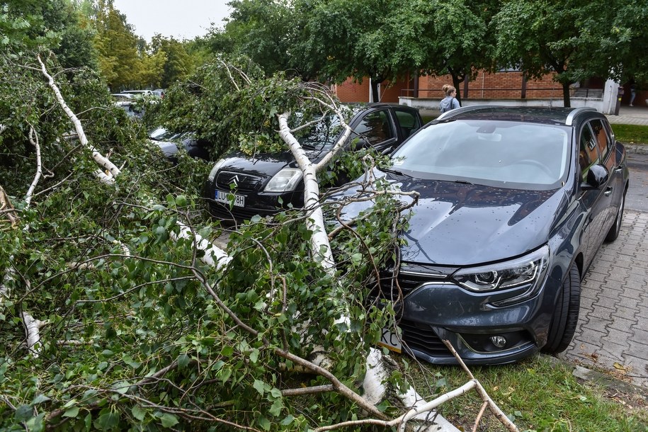 Lublin - usuwanie skutków nawałnicy /Wojtek Jargiło /PAP