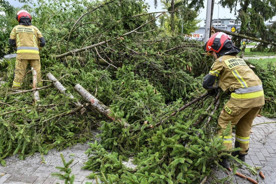 Lublin - usuwanie skutków nawałnicy /Wojtek Jargiło /PAP