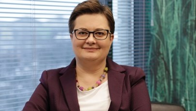 Lubnauer o Wiośnie: Hurraoptymistyczny program 