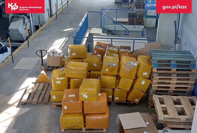 Lubuscy celnicy przejęli podrabiane maskotki Labubu /Krajowa Administracja Skarbowa /