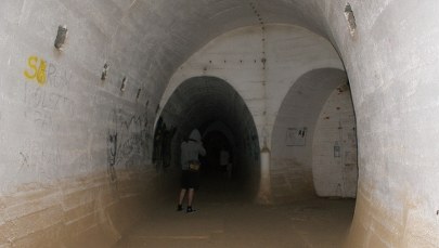 Lubuskie na majówkę w jeden dzień. Odkrywany perły regionu