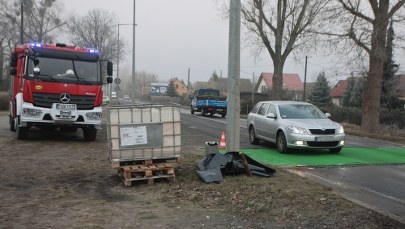 Lubuskie: Wybiją drób, aby powstrzymać rozwój ptasiej grypy