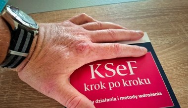 Ludwik Sobolewski: Krajowy System Błądzenia