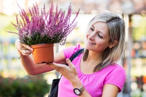 Łudząco podobne, a jednak różne. Tylko jeden gatunek zachwycająco zakwita jesienią