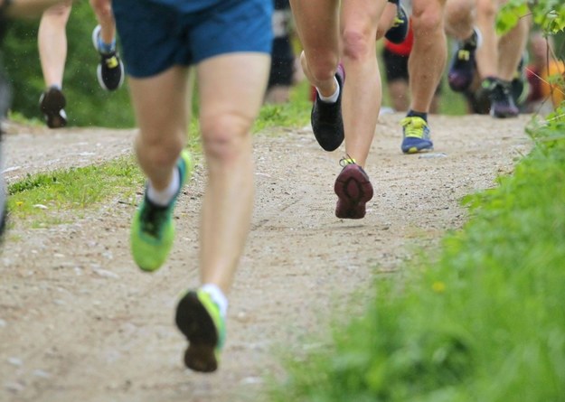 Ludzie biegają ze swoją optymalną prędkością - twierdzą naukowcy / 	Tomasz Waszczuk    /PAP