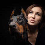 Ludzie i dobermany mają wiele wspólnego. Chodzi o choroby serca