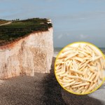 cebula Ludzie ruszyli, by uprzątnąć plażę. Zaskakujące, co ją zaśmieciło