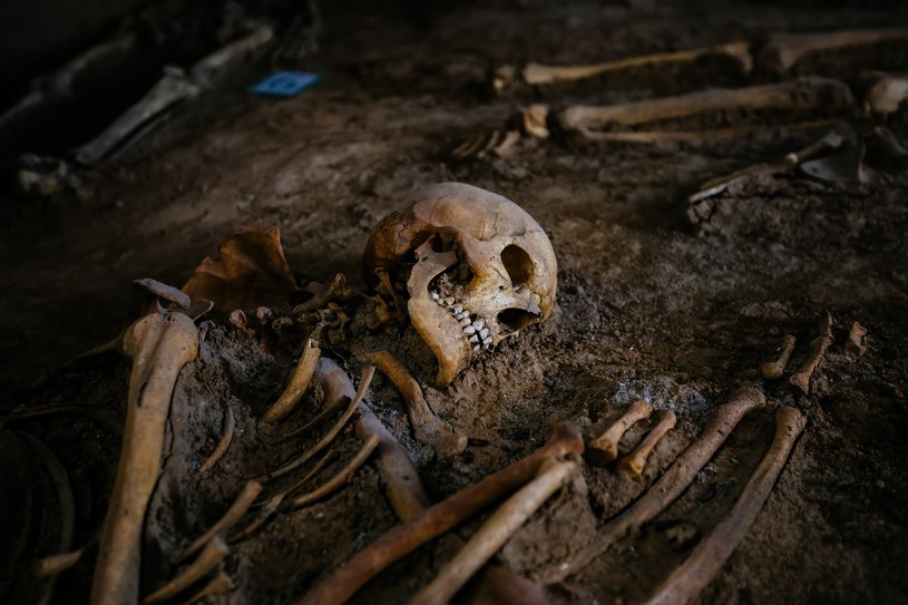 Ludzki szkielet odkryty podczas prac archeologicznych... /Zdjęcie ilustracyjne /123RF/PICSEL