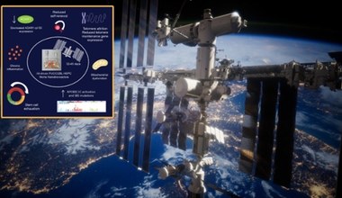 Ludzkie komórki starzeją się szybciej w kosmosie. Co grozi astronautom?