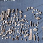 Ludzkie kości na placu budowy w Łodzi. W rejonie dawnego więzienia