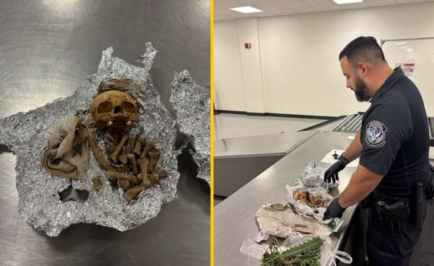 Ludzkie kości w bagażu podróżnym. Koszmarne odkrycie celników