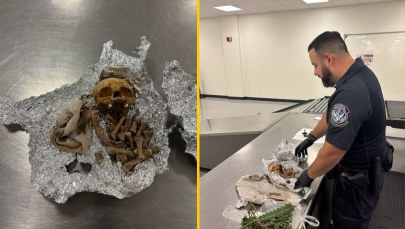 Ludzkie kości w bagażu podróżnym. Koszmarne odkrycie celników