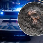 Ludzkie kości za grosze. Właścicielka sklepu z antykami aresztowana