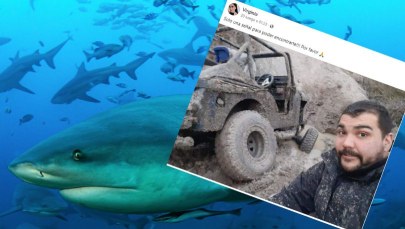 Ludzkie szczątki w brzuchu rekina. Po tatuażu na ręce rozpoznano ofiarę