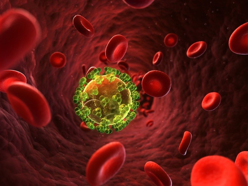 Ludzkość jest coraz bliższa pokonania wirusa HIV /123RF/PICSEL