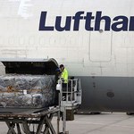 Lufthansa odwołała rejsy do Warszawy z powodu strajku we Frankfurcie