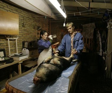 Lukas Schwarz Thorsteinsson w scenie z filmu "Drapacz chmur"