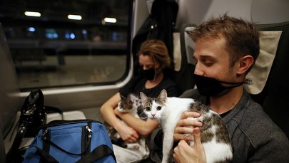 Łukasz Szumowski: Drugiego lockdownu już nie da się zrobić