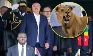 Łukaszenka dostał lwa w Zimbabwe. W tle wizyty wielkie pieniądze