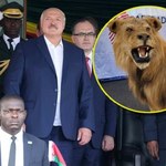 Łukaszenka dostał lwa w Zimbabwe. W tle wizyty wielkie pieniądze