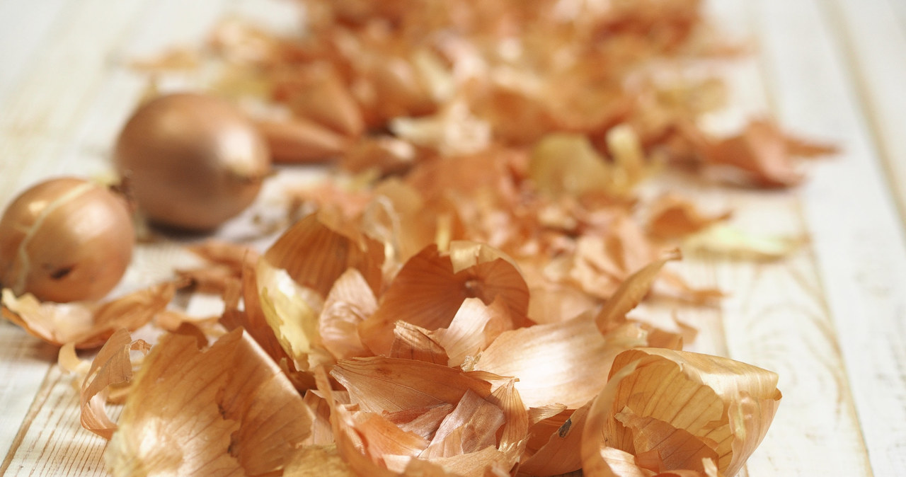 Łupiny z cebuli przynoszą wiele korzyści dla roślin /123RF/PICSEL