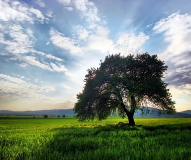 "Luty się nie sprawdził". Jak będzie na Wielkanoc? Wypowiedział się ekspert