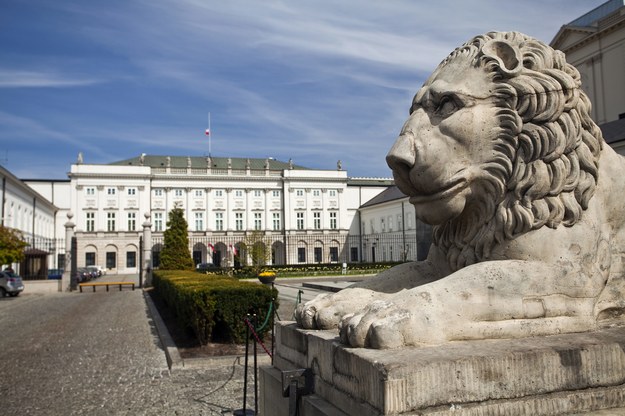 Lwy przed Pałacem Prezydenckim /Jerzy Ochoński   /PAP