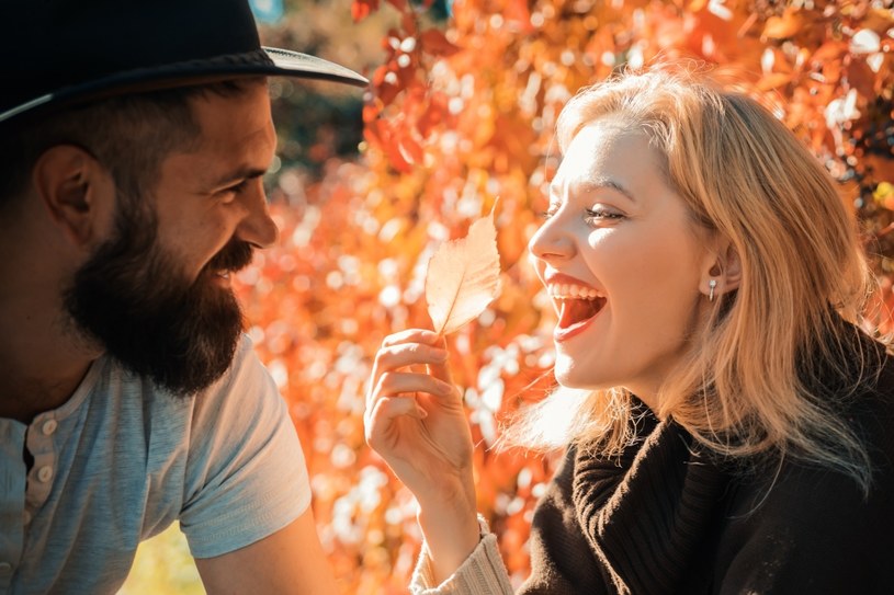 Lwy są gwiazdami w każdym towarzystwie. Gdy ktoś im się podoba, bez oporu z nim flirtują /Pixel