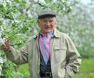 "M jak miłość": Co dalej z serialem po śmierci Witolda Pyrkosza? 