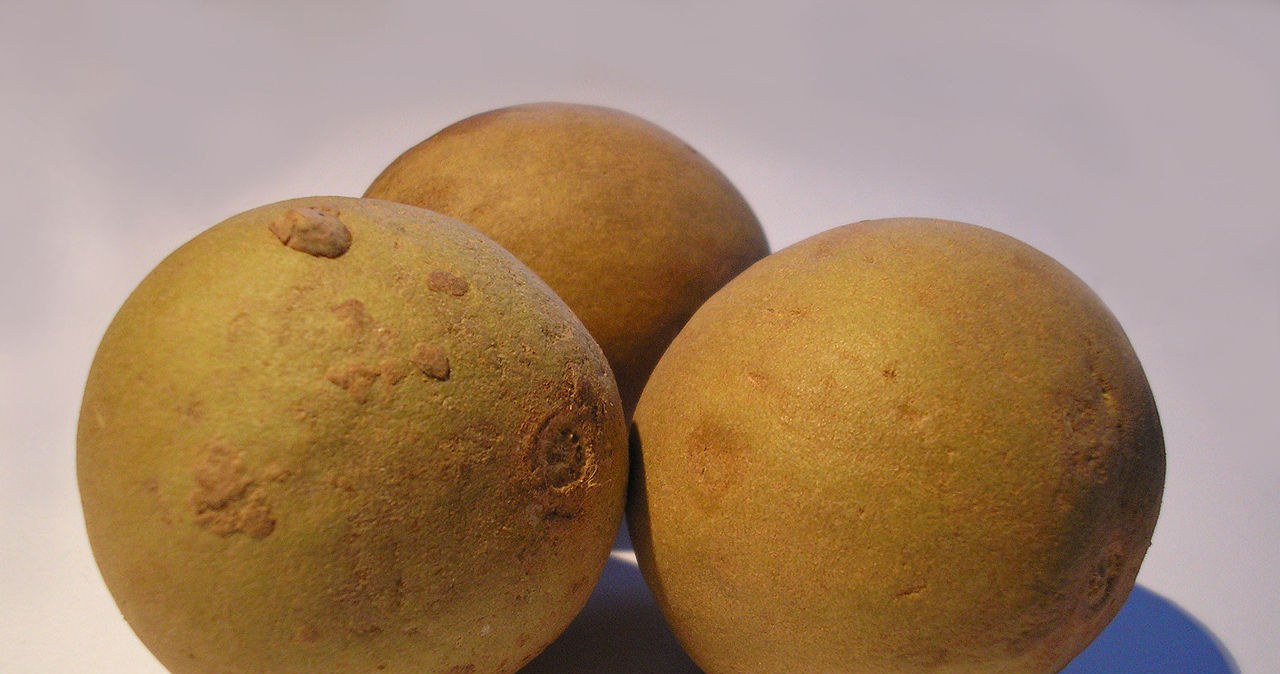 М'якоть цього екзотичного фрукта має смак іриски. Вона прискорює метаболізм /Domena publiczna