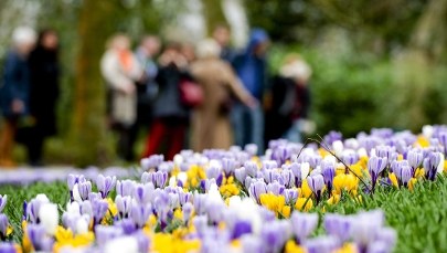 Ma być nawet 21 stopni!