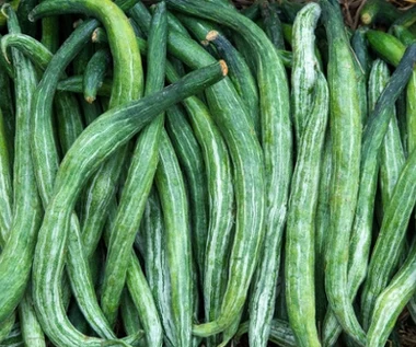 Ma cienką skórę i zero pestek, ale rzadko jadamy. Doskonale nawadnia, oczyszcza organizm z toksyn