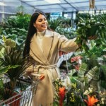 Ma spektakularne liście i nie wymaga słońca. Idealna do zaciemnionego mieszkania