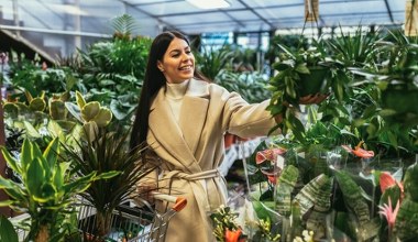 Ma spektakularne liście i nie wymaga słońca. Idealna do zaciemnionego mieszkania 