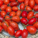 dzika róża Ma więcej witaminy C niż cytryny i pomarańcze. Dzika róża od wieków uchodzi za naturalny skarb zdrowia
