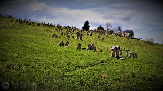 macewy na cmentarzu żydowskim w Ryglicach /Bogdan Zalewski /RMF24