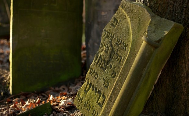 Macewy w złocie i kolorach - projekt historyków Uniwersytetu Łódzkiego