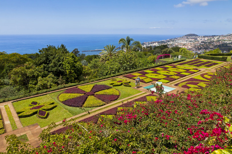 Madera, czyli "Hawaje Europy". Piękne krajobrazy z pewnością służą wypoczynkowi /123RF/PICSEL